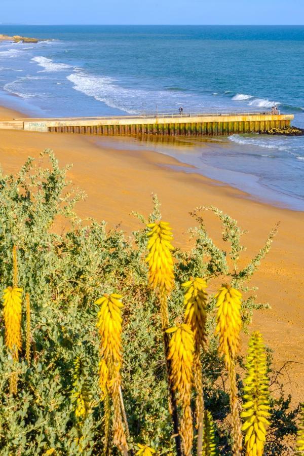 Beach Studio In Albufeira'S Old Town Exterior photo